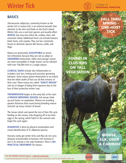 Winter Tick Disease Fact Sheet