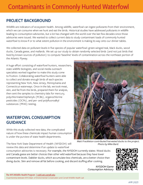Contaminants in Commonly Hunted Waterfowl