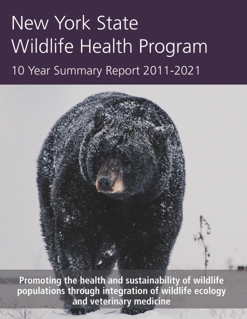 NYS WHP 10 year Summary Report 2011-2021