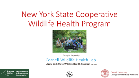 New York State Cooperative Wildlife Health Program Overview Presentation