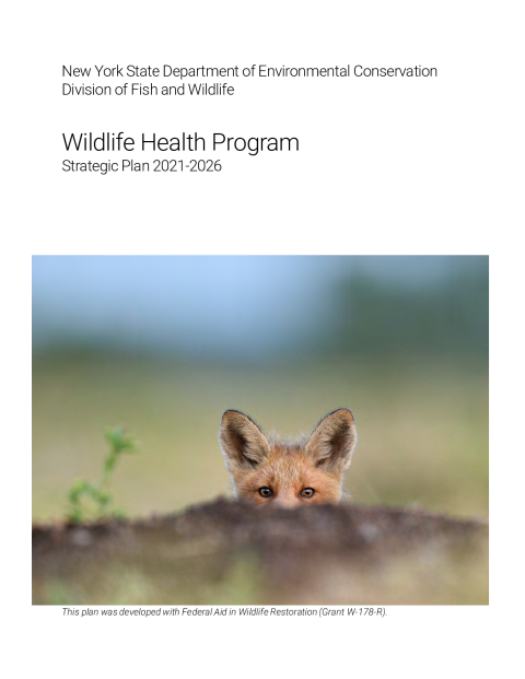 NYS WHP Strategic Plan 2021-2026
