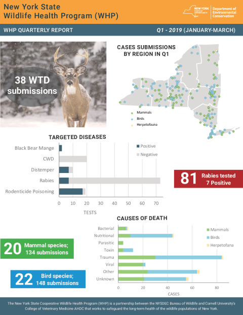 NYS WHP Quarterly Report Q1 2019