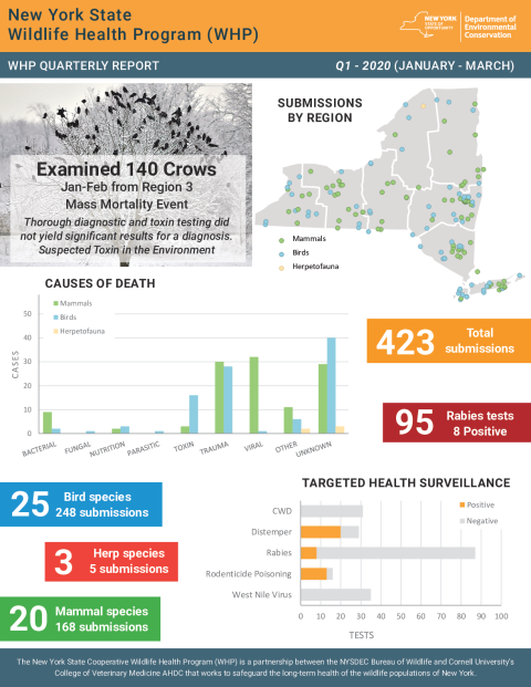 NYS WHP Quarterly Report Q1 2020