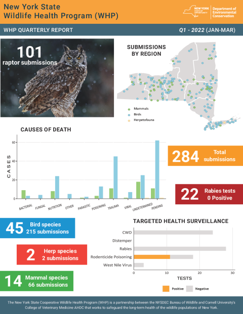 NYS WHP Quarterly Report Q1 2022