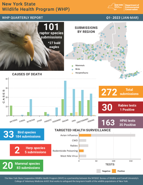 NYS WHP Quarterly Report Q1 2023