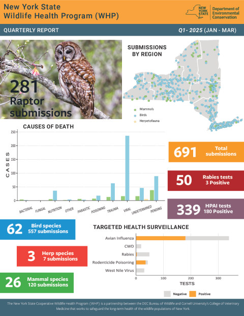 NYS WHP Quarterly Report Q1 2025