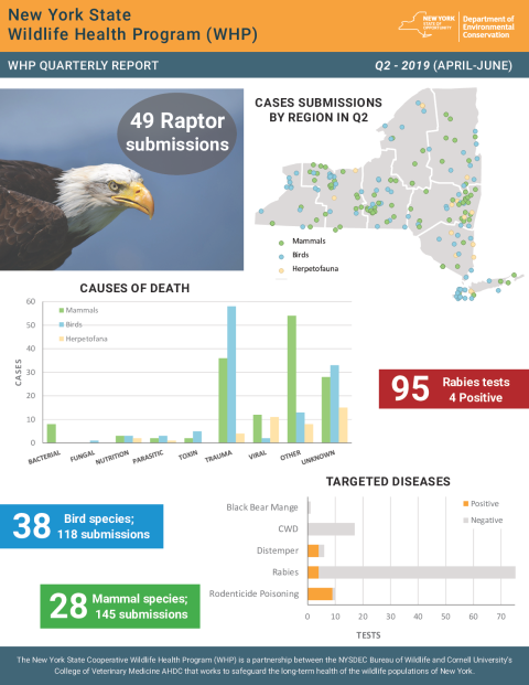 NYS WHP Quarterly Report Q2 2019