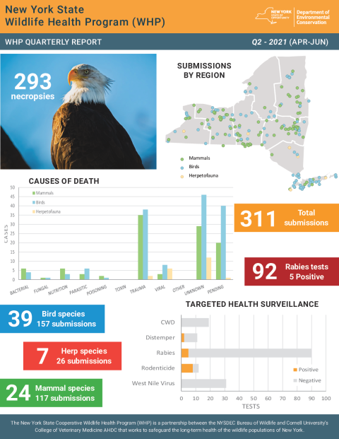 NYS WHP Quarterly Report Q2 2021