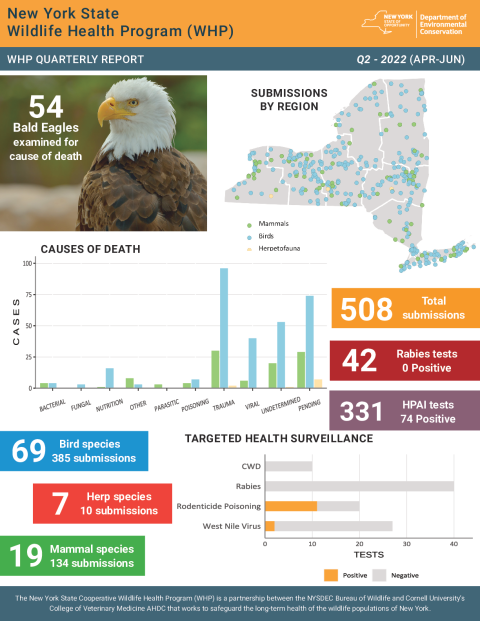 NYS WHP Quarterly Report Q2 2022