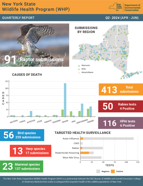 NYS WHP Quarterly Report Q2 2024