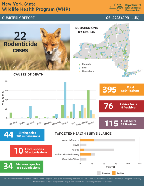 NYS WHP Quarterly Report Q2 2025