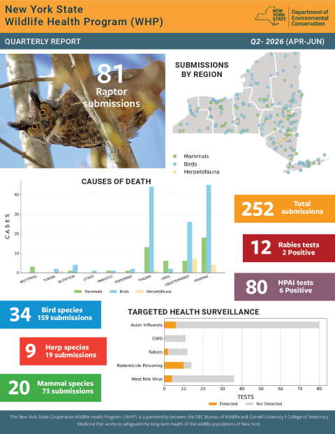 NYS WHP Quarterly Report Q2 2026