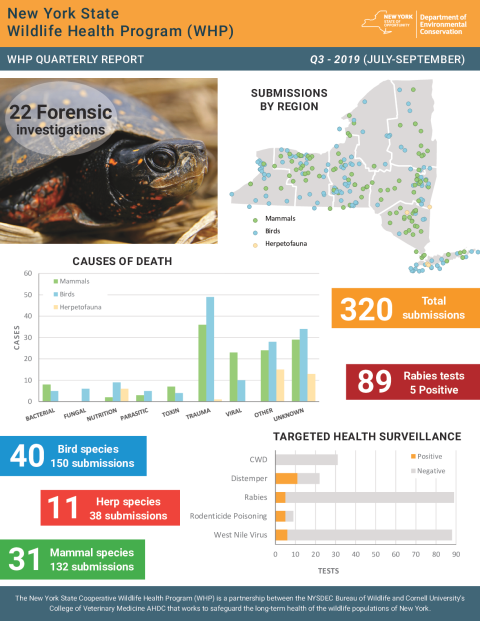NYS WHP Quarterly Report Q3 2019