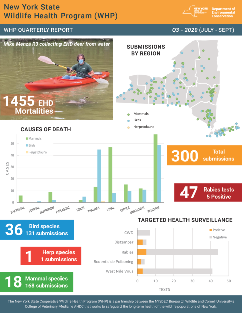 NYS WHP Quarterly Report Q3 2020
