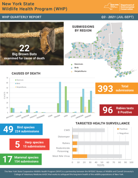 NYS WHP Quarterly Report Q3 2021