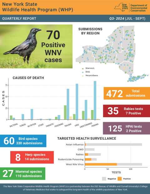 NYS WHP Quarterly Report Q3 2024