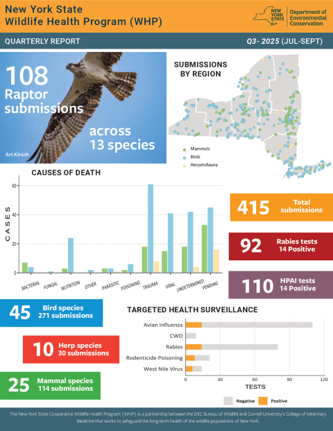NYS WHP Quarterly Report Q3 2025