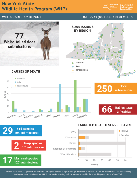 NYS WHP Quarterly Report Q4 2019