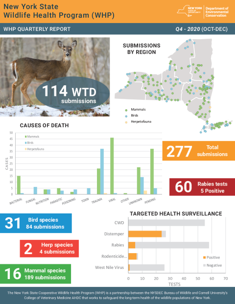 NYS WHP Quarterly Report Q4 2020