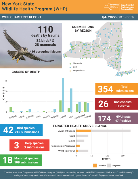 NYS WHP Quarterly Report Q4 2022