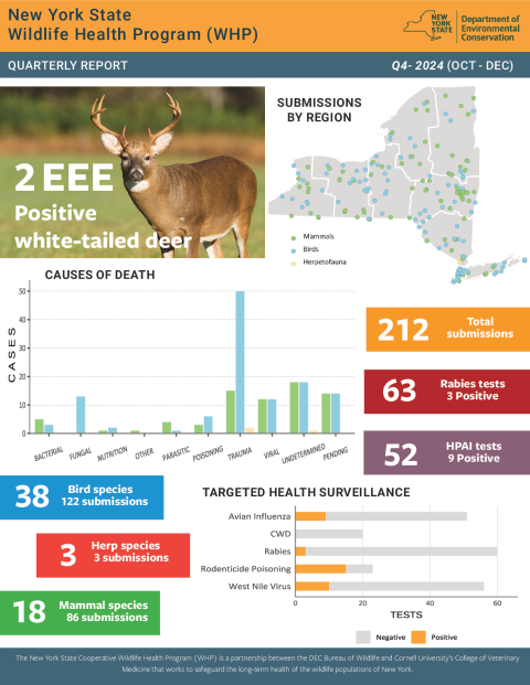 NYS WHP Quarterly Report Q4 2024