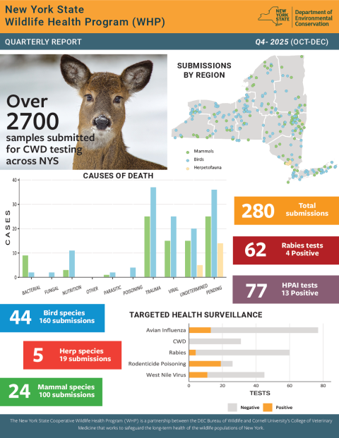 NYS WHP Quarterly Report Q4 2025