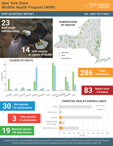 NYS WHP Quarterly Report Q4 2021