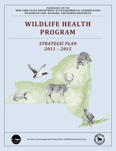 NYS WHP Strategic Plan 2011-2015