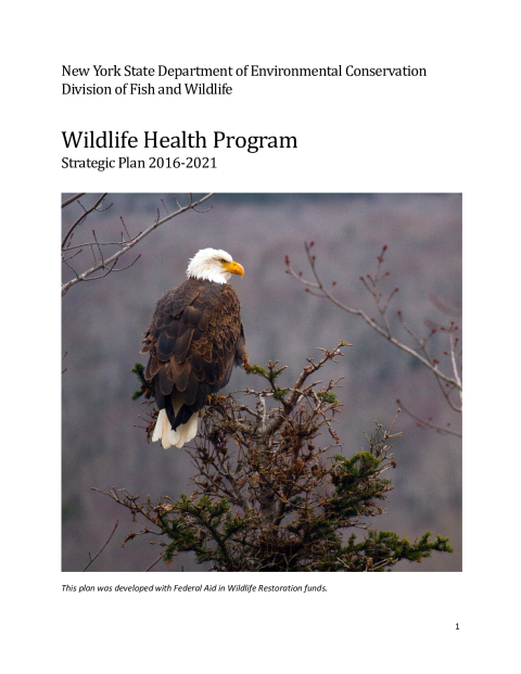 NYS WHP Strategic Plan 2016-2021
