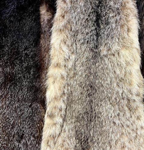Close up of fur pelts from assorted furbearers