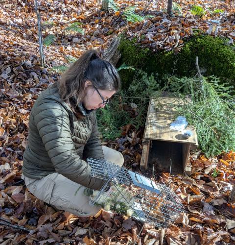 Taylor checking traps