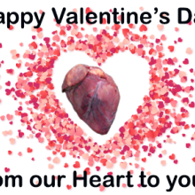 Deer heart inside a heart of red/pink rose petals. Happy Valentine's Day From our heart to yours 