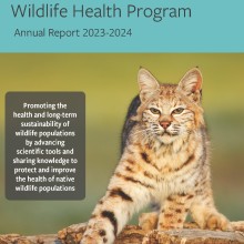 Image of the annual report cover with the title New York State Wildlife Health Program Annual Report
