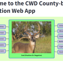 Thumbnail of CWD Detection Web App Dashboard
