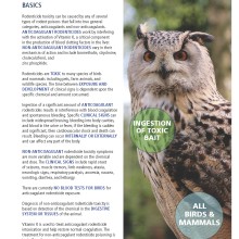 image of fact sheet with owl and text