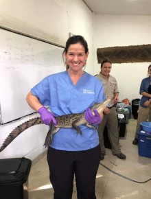 Dr Bloodgood holding a small alligator