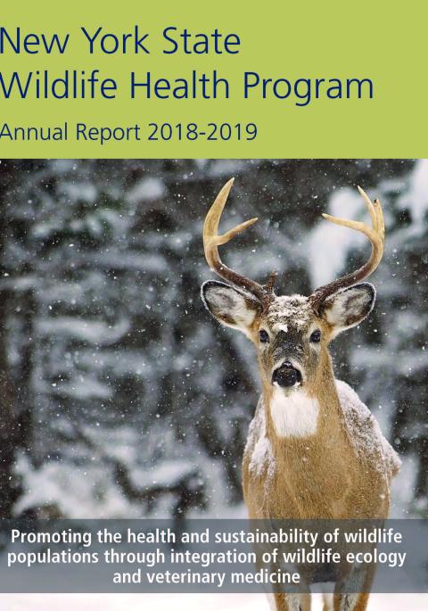 Thumbnail of NYS WHP Annual Report 2018-2019
