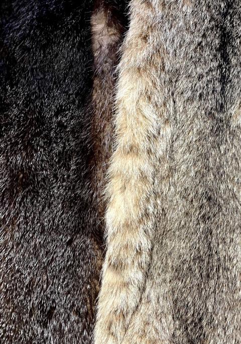 Close up of fur pelts from assorted furbearers