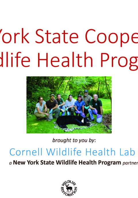 Thumbnail of title slide