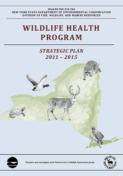 Thumbnail of NYS WHP Strategic Plan 2011-2015