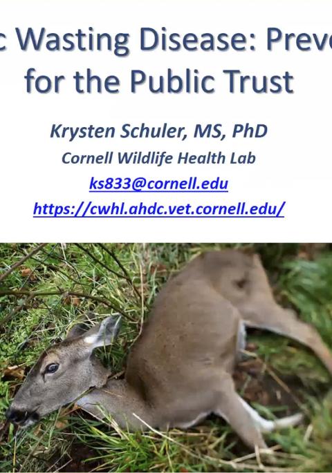 Thumbnail of title slide