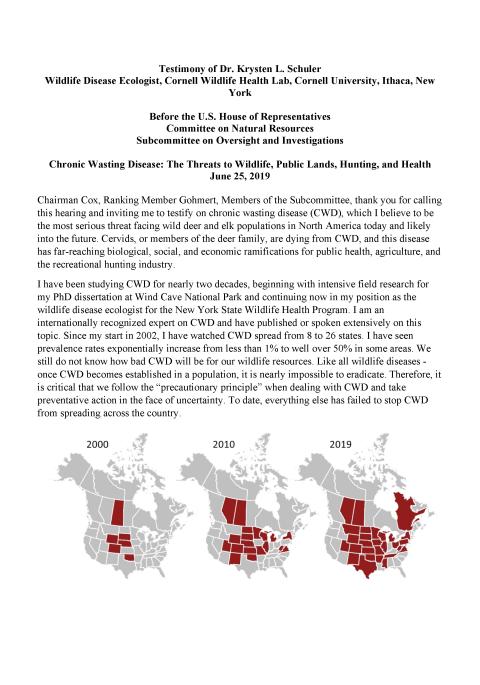 Thumbnail of title slide