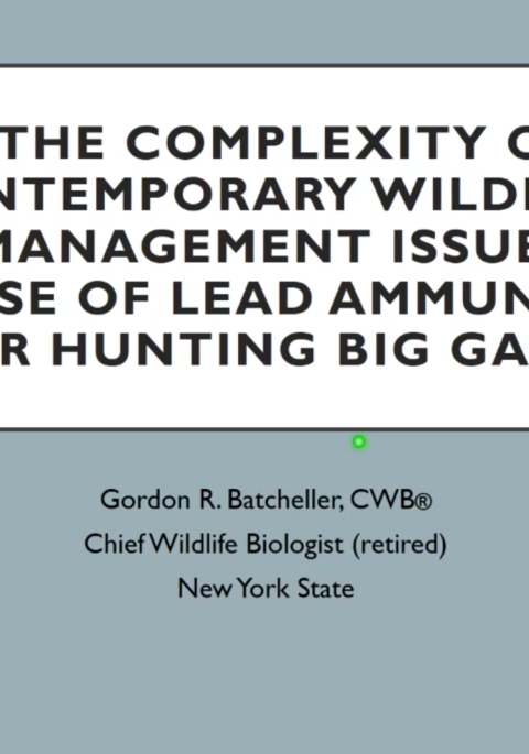 Thumbnail of title slide