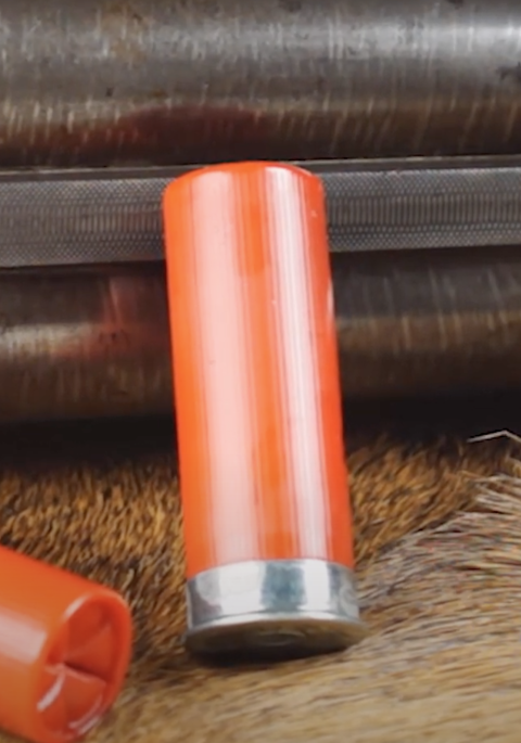 Shotgun shells and shotgun