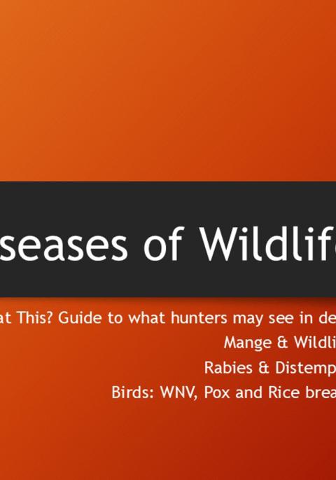 Thumbnail of title slide