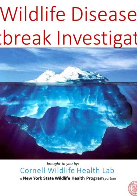 Thumbnail of title slide