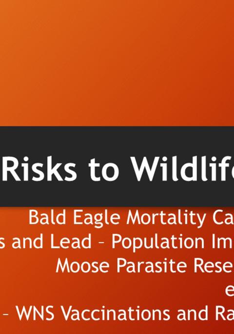 Thumbnail of title slide