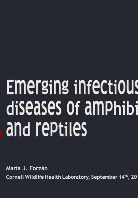 Thumbnail of title slide