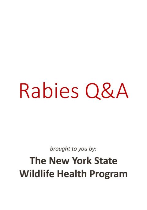 Thumbnail of title slide