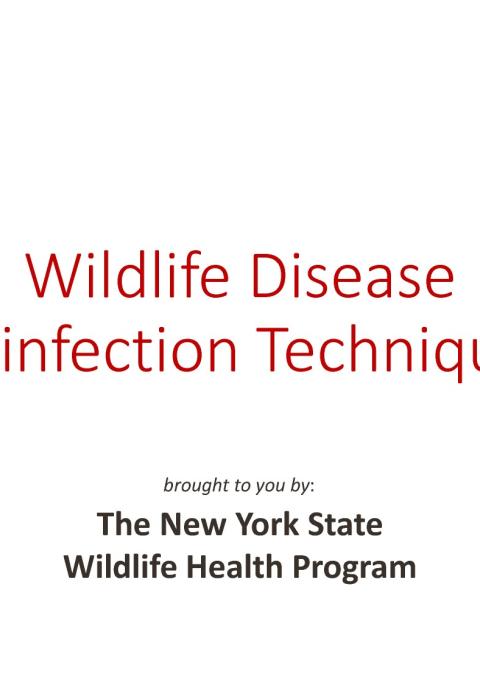 Thumbnail of title slide